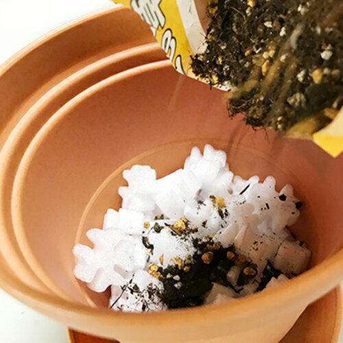 O2+���Υ�3��1cm 10g �쿧��Ź