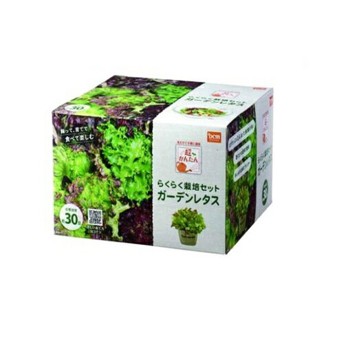 超簡単！栽培セット ガーデンレタス DCMのサムネイル