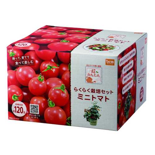 超簡単！栽培セット ミニトマト ミニトマト DCMのサムネイル