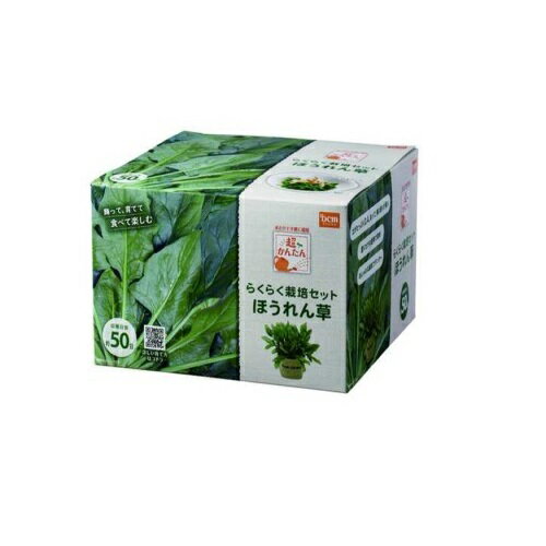 超簡単！栽培セット ほうれん草 ほうれん草 DCMのサムネイル