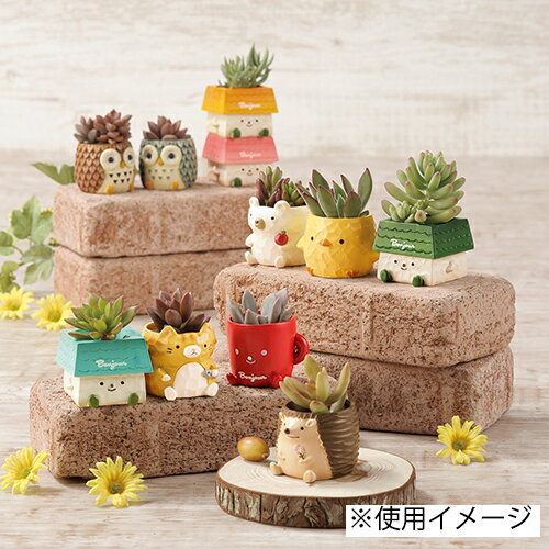 �ߥ˥ߥ˥쥸��ݥå� 3770-C �ϥ�ͥ��� ���꡼��ϥ���