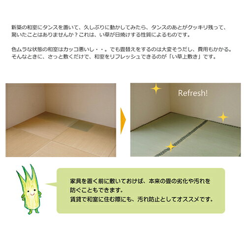 純国産 双目織 い草上敷 『松』 江戸間 IKEHIKO