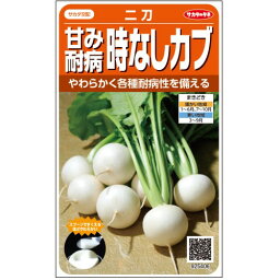 甘み耐病時なしカブ 二刀 サカタのタネ