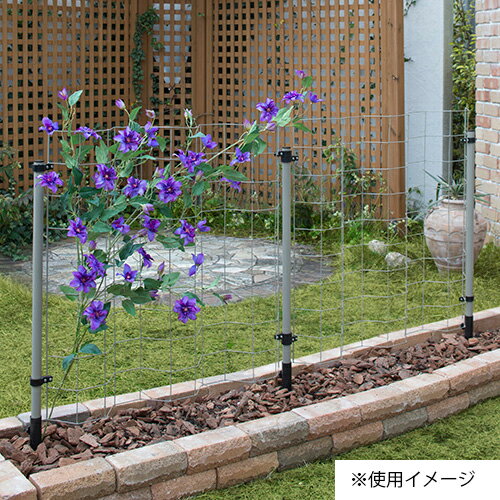 �磻�䡼��ƥ������ն�� WF-K04 �������硼