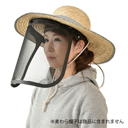 �ե������ץ��ƥ����� No.2745 ������