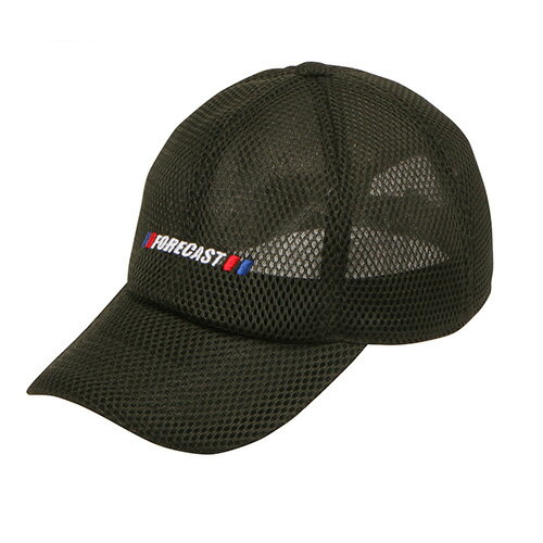 å奭å 6507 ꡼ FORCAST