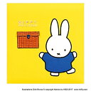 フエルアルバム誕生用/ディックブルーナ ア-LB-615-Y イエロー Nakabayashi