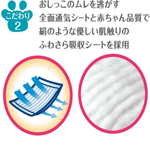 �ޥʡ��������ͤ���M������ 16�� �ޥʡ�������