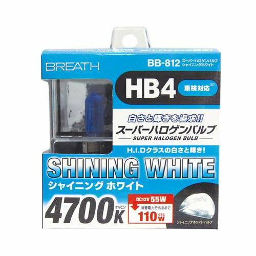 スーパーハロゲンバルブ HB4 BB-812 2個入 シャイニングホワイト HB4 ベイテックス(株)