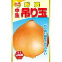 金の種 貯蔵 中生吊り玉葱 アタリヤ農園