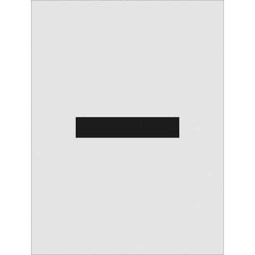 ���ƥ󥷥� - ʸ��������250��125mm AST-109 IM