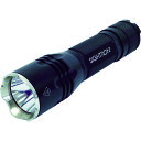 BRIGHT-TECH LEDtbVCg EX250FL SIGHTRON