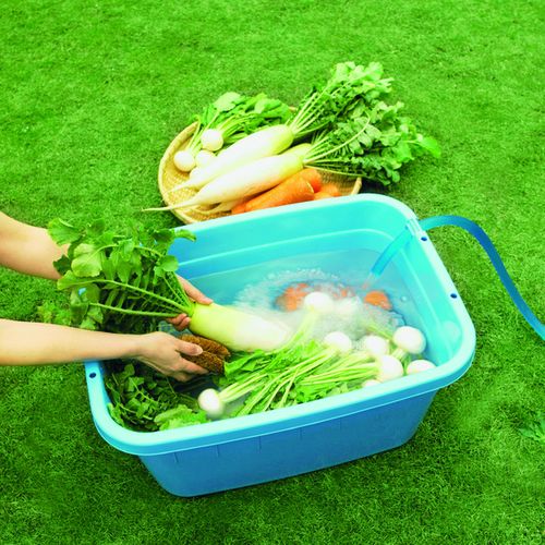 �ѷ����餤 �֥롼 DCM