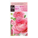 【エントリーで最大P29倍 11日1:59まで】エビータ エビータトリートメントヘアカラ 6B 90g|生活用品 健康・ビューティー・ヘルスケア 女性化粧品 染毛剤