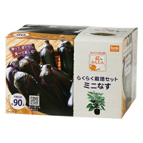 超簡単！栽培セット ミニなす ミニなす DCMのサムネイル