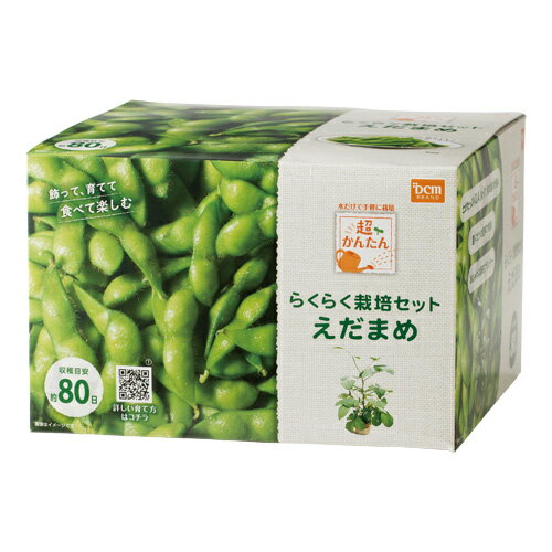 超簡単！栽培セット えだまめ えだまめ DCMのサムネイル