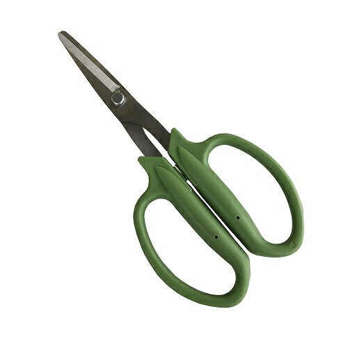 ステンレス小枝切鋏 小枝切鋏 165mm DCM