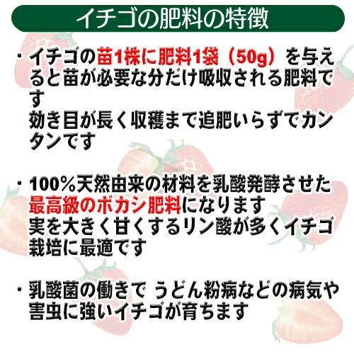 ����ͭ�� ������������ γ��50g���� 1��1��ʬ ��С��ץ���