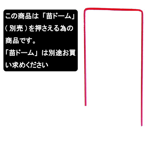 �ĥɡ�����Ŵ�� 10���� Ĺ��11.5cm DAIM