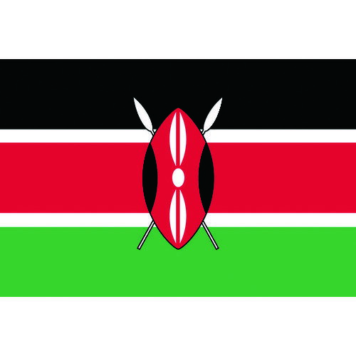 楽天DCMオンライン卓上旗（16×24cm）ケニア 406261 東京製旗
