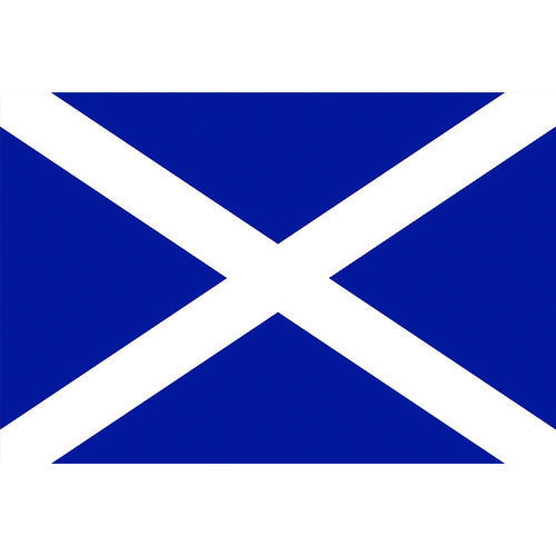 楽天DCMオンライン国旗No.2（90×135cm） スコットランド 426351 東京製旗