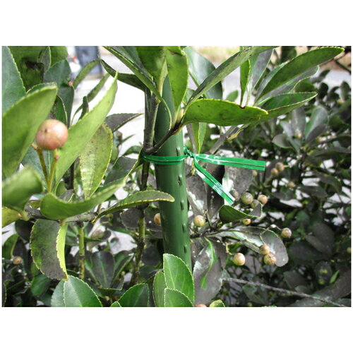 ����ѥӥˡ��륿�� ��4mm��Ĺ��200mm �� (100����) GVT200100 200mm TRUSCO