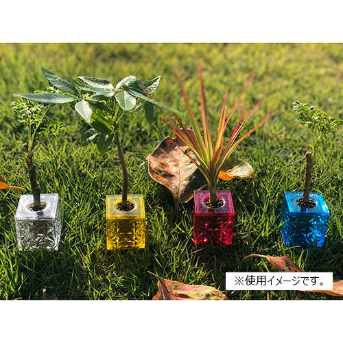 �����ִ� ����� HH-C95-PK �ԥ� Hacocoro