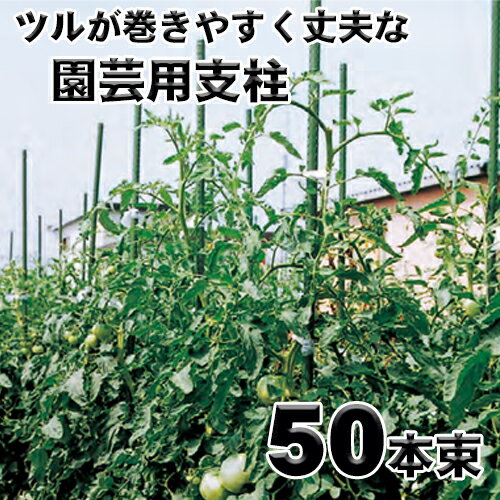 楽天市場】園芸支柱 8mmの通販 楽天市場】園芸支柱 8mmの通販