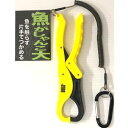 魚がしゃんこ 大 (有)ケンフォード