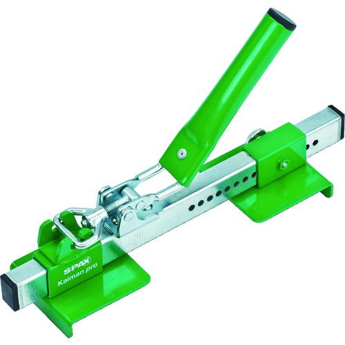 �����ޥ�ץ� �ǥå��� 5009409872009 SPAX