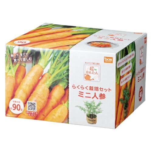 超簡単！栽培セット ミニ人参 ミニ人参 DCMのサムネイル