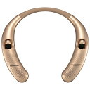 Bluetoothネックイヤホン&スピーカー HP-W510Z-N AudioComm
