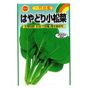 作りやすい。生育抜群、良く揃う。周年栽培可 ●特性一代交配のこまつなです。 ●草勢強く、耐寒性、耐暑性、耐病性にすぐれ、四季を通じて安定した栽培が出来ます。 ●高温期は20日余りの短期で収穫できる、生育の早い強健種です。品質と、株張り、株揃えがよく多収性。 ●食味良好で家庭菜園に最適種です。 ●まき時3-10月(温暖地)。 ●発芽温度10-30℃。 ●株間約10cm。 ●発芽日数約3-7日。 ●収穫日数約20-30日。 ●まき時、収穫時期は、天気・温度・風害など、気候状況により変動する場合があります。一般的目安として参考にしてください。 ●種まき後の栽培条件、天候等によりその結果が異なることがありますので、栽培不良の責めはお買い上げ代金の範囲内とさせていただきます。 ●この種子を食用、飼料用にしないでください。 ●お子様の手の届かない所に保管してください。