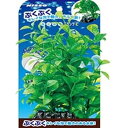 ぶくぶくプランツ曲げれる ロタラ L (株)マルカン(ニッソー)