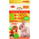 6種のフルーツと4種の野草 グロースステージ 900g スマック