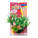 PON ファンシー S KOTOBUKI