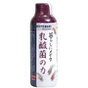 乳酸菌の力 150ml KOTOBUKI