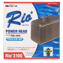 Rio3100 (株)用品