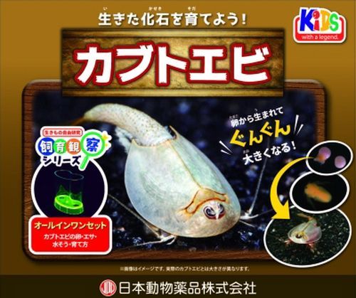 自由研究やお子様の知育教材に最適な飼育観察セットです。飼育に必要なものが全て入っています。 ●太古の時代から生きてきた甲殻類の1種です。カブトエビの卵と飼育に必要な道具がセットになっています。 ●商品サイズ:165×100×140mm。 ●原材料:カブトエビの卵、カブトエビのエサ、カブトエビの内容、水そう(ふた付き)、チューブボトル、カブトエビの育て方。 ●本商品はペット用の商品です。 ●パッケージ・内容等予告なく変更する場合がございます。予めご了承ください。