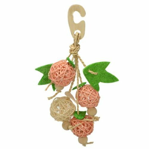 ナチュラルハンガー フルーツ (株)三晃商会