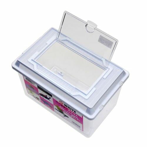 �ѥΥ�� M�ۥ磻�� (��)��������