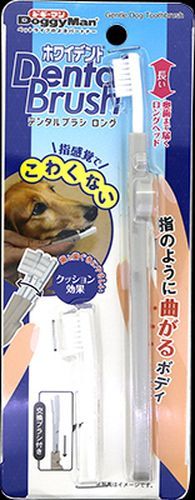 �ۥ磻�ǥ�� �ǥ󥿥�֥饷 ���󥰸��� �ɥ����ޥ�ϥ䥷(��)���ʱĶ���