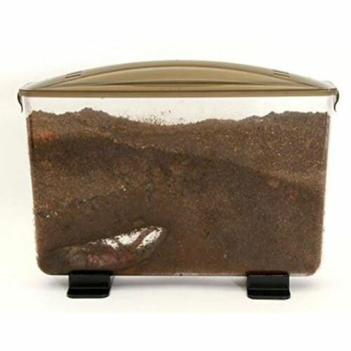 �饯�ܤä����磻�� (��)�ե�����