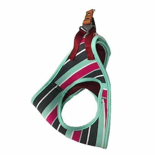 パステルボーダーソフトハーネス ミント SM (株)リードッグ
