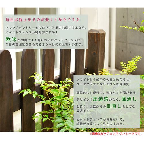 �ԥ��åȥե��� U�� ʿ���� SFPU1200 �������֥饦�� 8Ϣ�륻�å� �������֥饦�� 8Ϣ�륻�å� SST