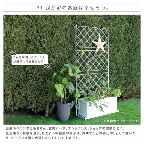 �ץ�󥿡����եե��� ����ॿ���� ���������� IF-FP017 �֥�å� �֥�å� SST