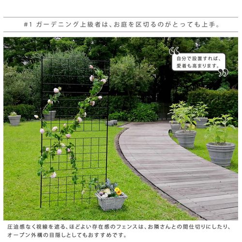 ��������ե��� ����� IF-GR024 �⤵226 1�� �⤵226 1�� SST