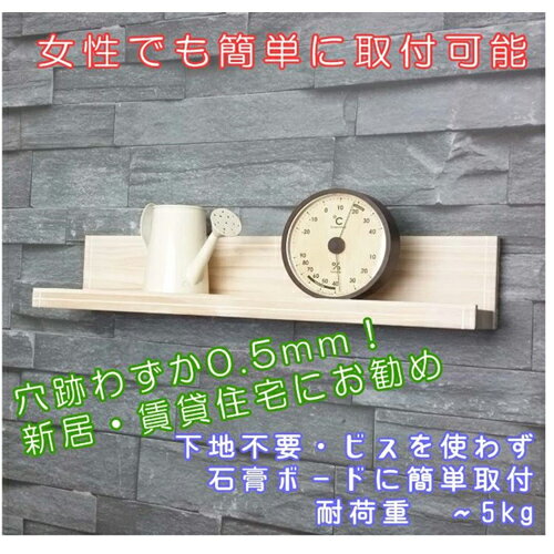 EASY SHELF棚のみ ホワイト ライフサーブ