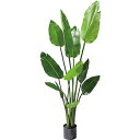 POPPY オーガスタ GLP-1520 〜120cm|ガーデニング園芸用品 園芸用品 ガーデンアクセサリー 園芸小物・置物 ガーデニング園芸用品 花・野菜・観葉植物 造花 アレンジ観葉 家具・インテリア インテリア 室内