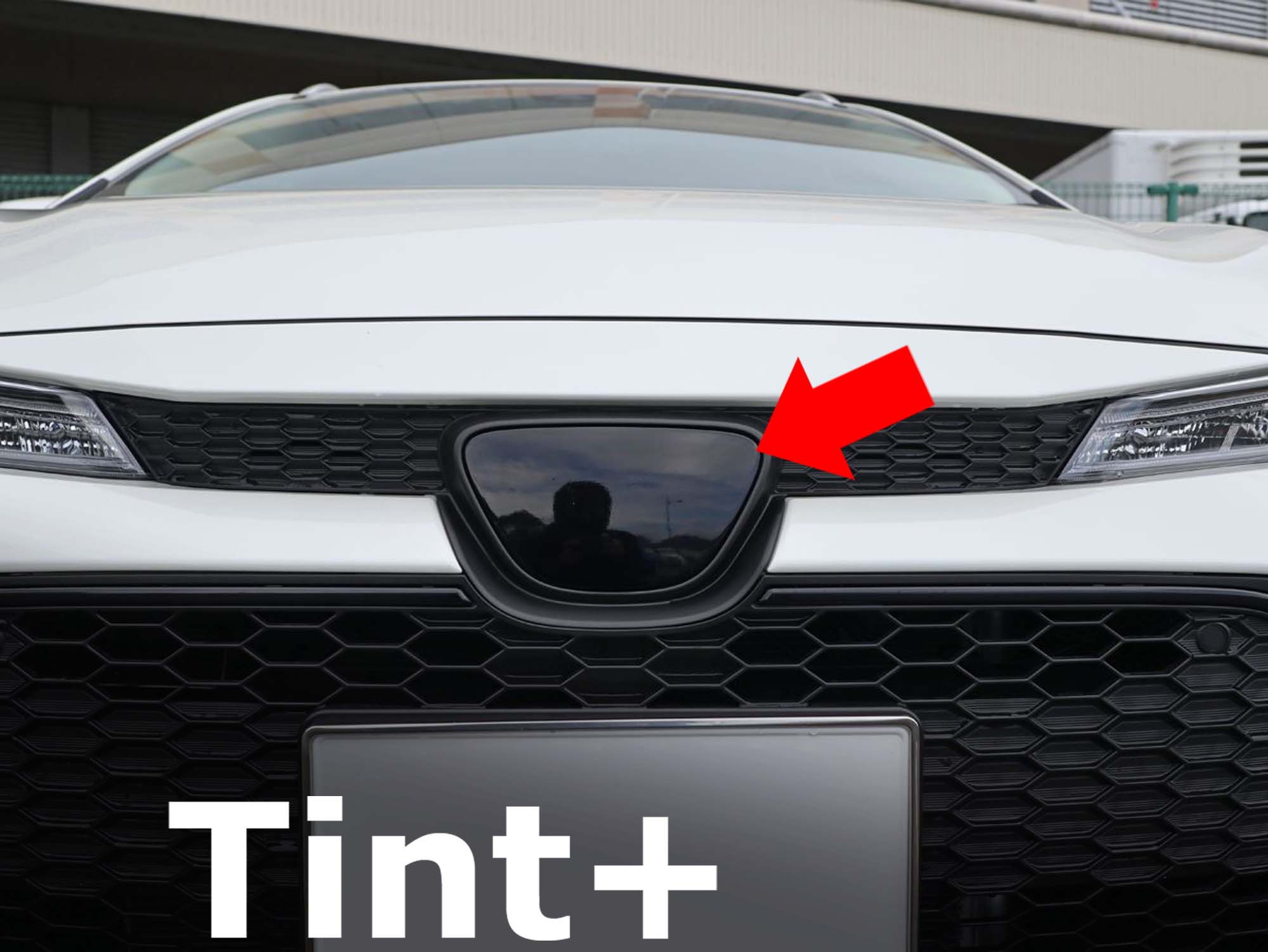 Tint+エンブレム スモークフィルム (ブラックスモーク5％) カローラツーリング NRE210W NRE214W ZRE212..